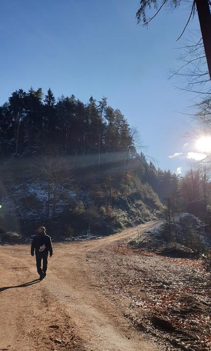 Waldgaststaette Alte Schmelz